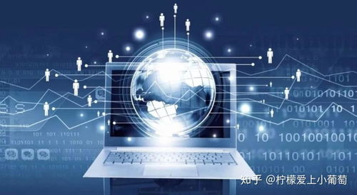 網(wǎng)絡(luò)技術(shù)服務(wù)項(xiàng)目的雙重維度評(píng)估 需求端與產(chǎn)品端的精準(zhǔn)對(duì)接