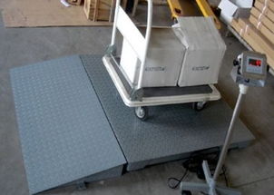 專業(yè)直供 1噸、2噸、3噸電子地磅與配套網(wǎng)絡(luò)技術(shù)服務(wù)，一站式解決方案